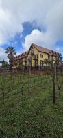 Madeira - Hotel & Weinplantage Quinta do Furão &ndash; &copy; Ronja Wagner (Eberhardt TRAVEL)