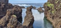 23 Naturschwimmbecken Porto Moniz &ndash; &copy; Susanne Schirmann (Eberhardt TRAVEL)