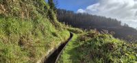36 Wanderung Faja da Ovelha &ndash; &copy; Susanne Schirmann (Eberhardt TRAVEL)