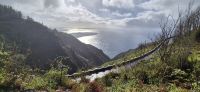 37 Levadawanderung Südküste &ndash; &copy; Susanne Schirmann (Eberhardt TRAVEL)