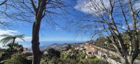 114 Blick auf Funchal &ndash; &copy; Susanne Schirmann (Eberhardt TRAVEL)