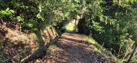 118 Levadawanderung do Faial &ndash; &copy; Susanne Schirmann (Eberhardt TRAVEL)
