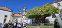 Lamego &ndash; &copy; Ria Heilmann (Eberhardt TRAVEL)