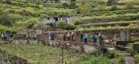 Levada do Canical &ndash; &copy; Ria Heilmann (Eberhardt TRAVEL)