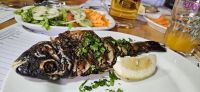 Papageienfisch - sehr lecker &ndash; &copy; Ria Heilmann (Eberhardt TRAVEL)