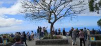 Cabo Girao - welch ein Getümmel &ndash; &copy; Ria Heilmann (Eberhardt TRAVEL)