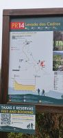 Wanderung Cedern Levada &ndash; &copy; Ria Heilmann (Eberhardt TRAVEL)