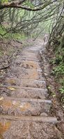 der Wanderweg ist speziell ! &ndash; &copy; Ria Heilmann (Eberhardt TRAVEL)