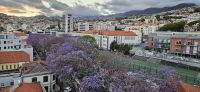 Funchal von der Dachterrasse des Turim Hotels &ndash; &copy; Ria Heilmann (Eberhardt TRAVEL)