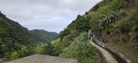 Levada Nova &ndash; &copy; Ria Heilmann (Eberhardt TRAVEL)