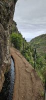 Levada do Moinho &ndash; &copy; Ria Heilmann (Eberhardt TRAVEL)