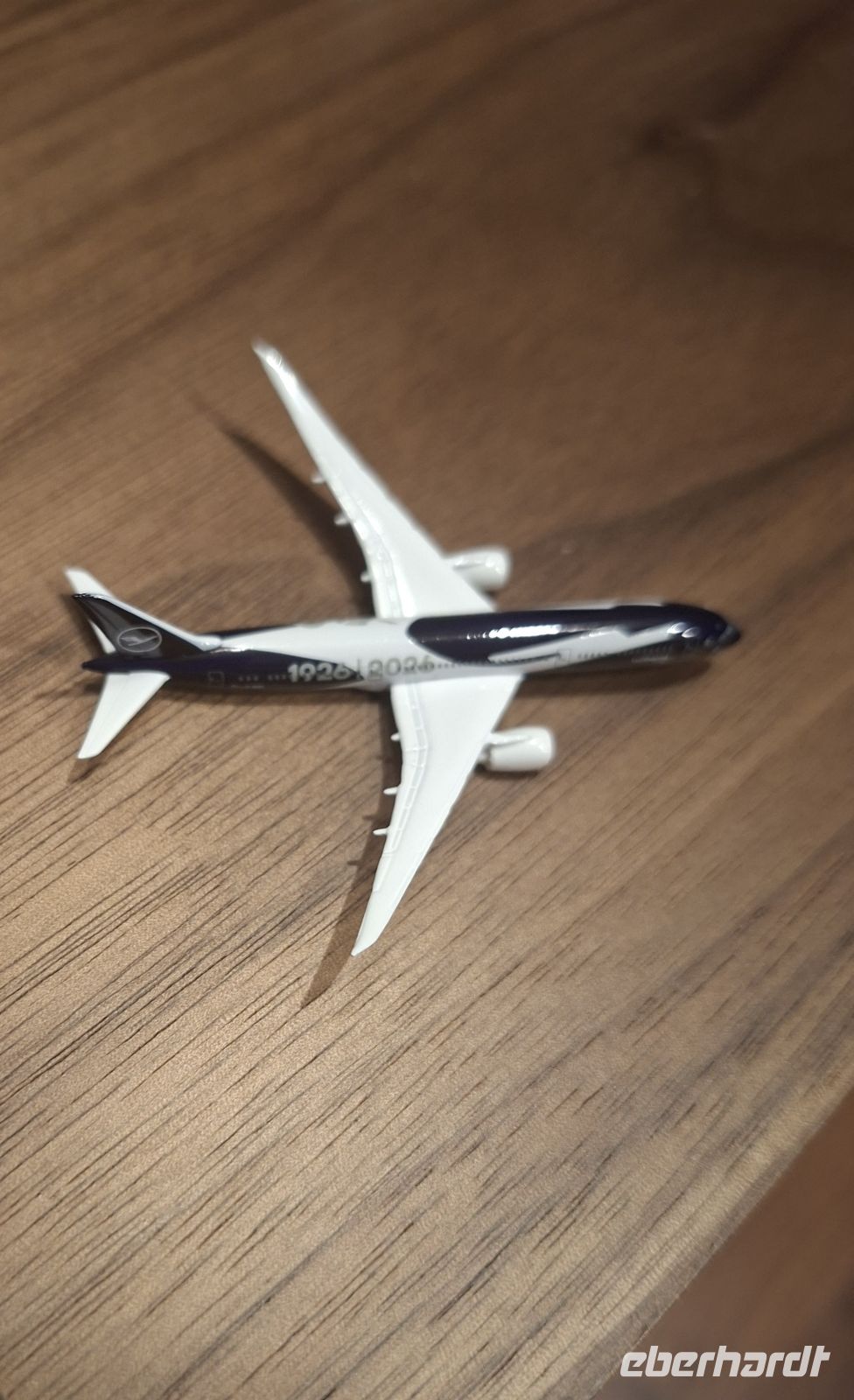 „100 Jahre Lufthansa“ - wir fliegen mit einer Jubiläumsmaschine mit Sonderlackierung aus den 60ern &ndash; &copy; Ute Solf (Eberhardt TRAVEL)