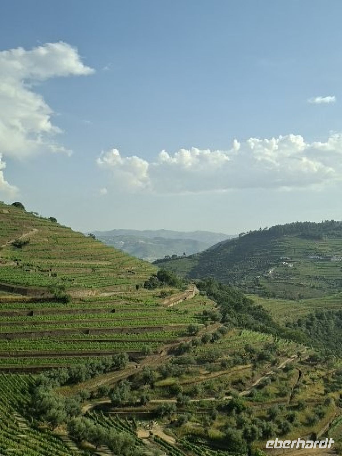 Landschaftsblick &ndash; &copy; Ute Solf (Eberhardt TRAVEL)