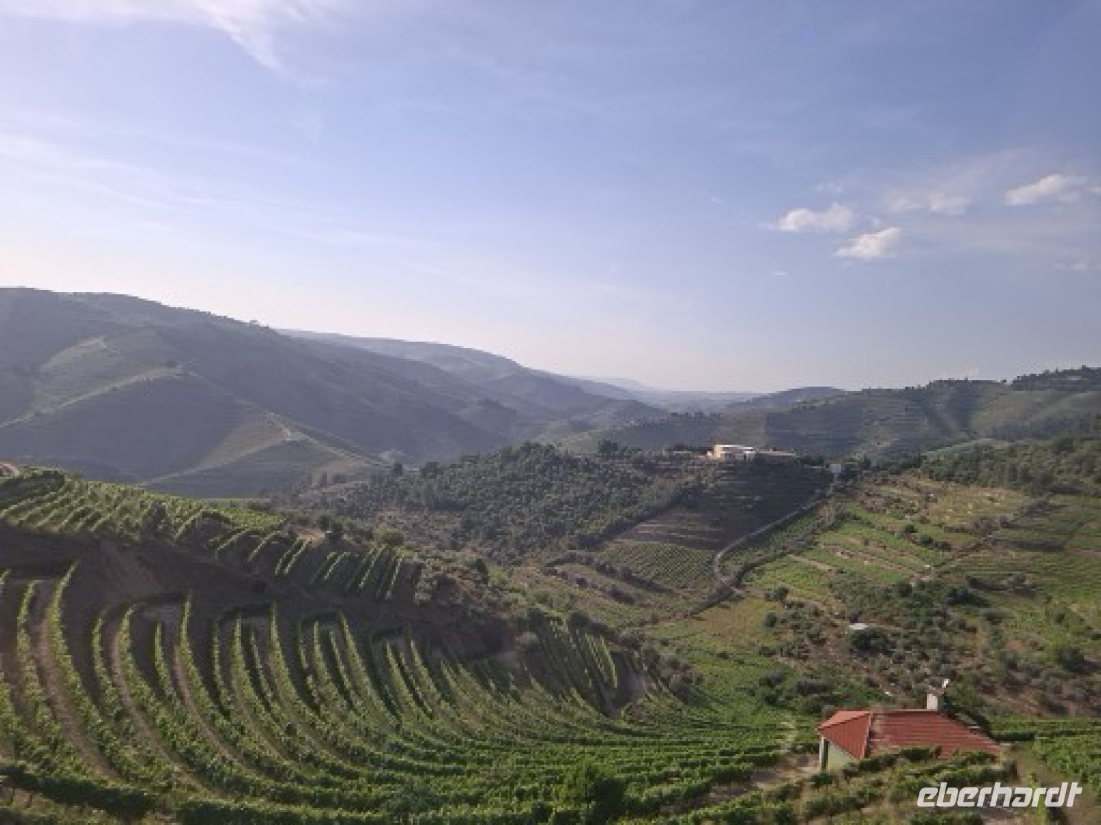 Blick von der Quinta da Avessada in die Weinberge &ndash; &copy; Ute Solf (Eberhardt TRAVEL)