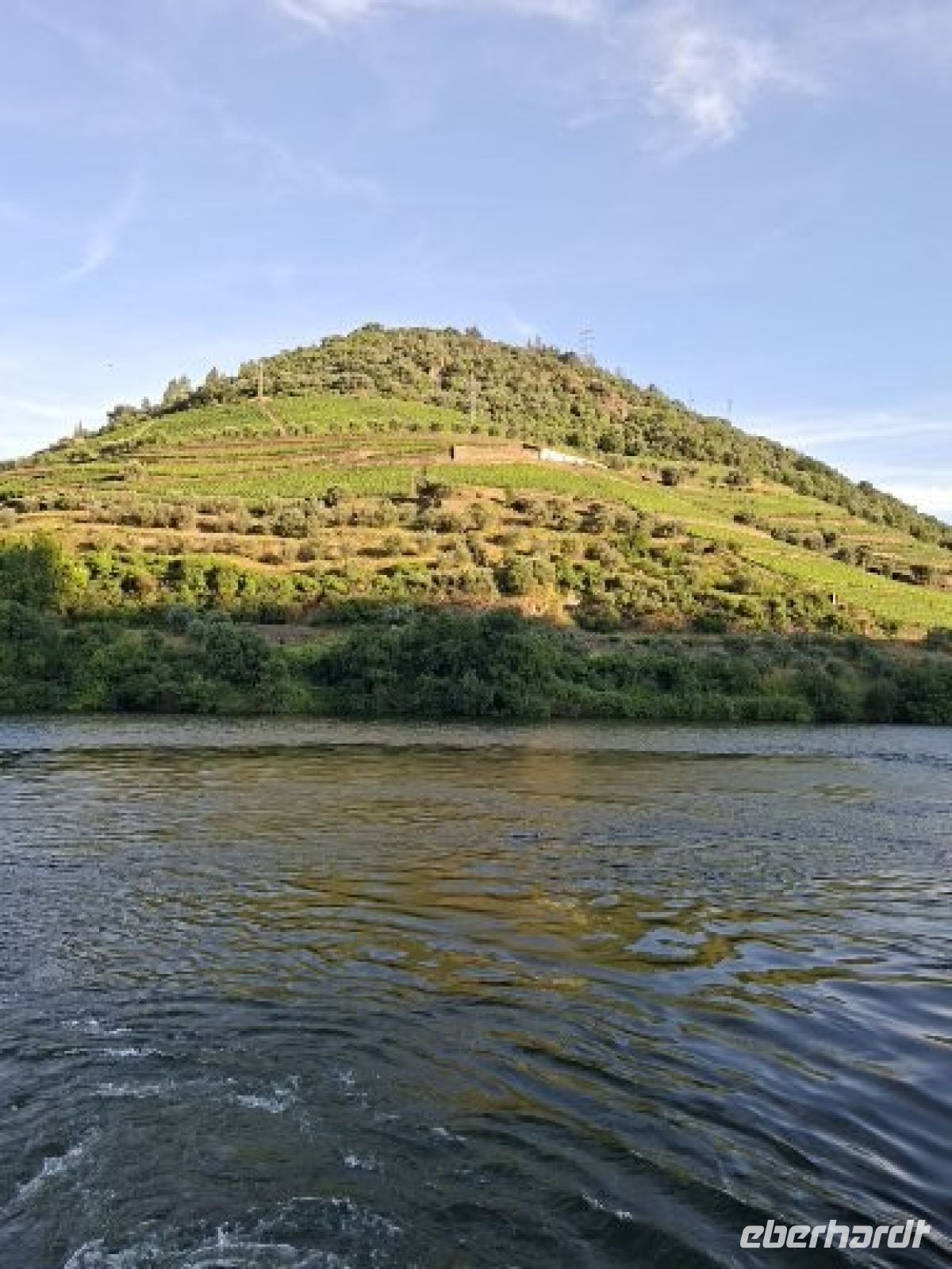 die Abendsonne umhüllt den Weinberg &ndash; &copy; Ute Solf (Eberhardt TRAVEL)