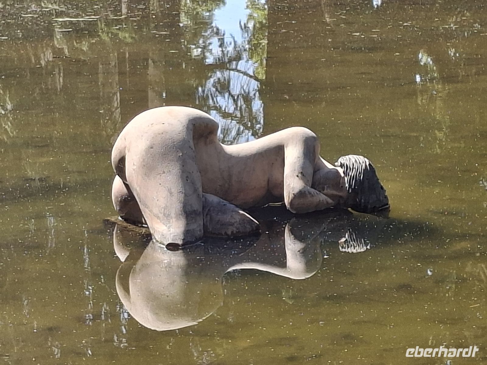 ---u. ruht sich aus? &ndash; &copy; Ute Solf (Eberhardt TRAVEL)