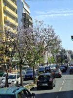 Hauptverkehrsstraße in Lissabon &ndash; &copy; Ute Solf (Eberhardt TRAVEL)