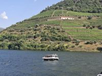 Weinhänge im Duorotal &ndash; &copy; Ute Solf (Eberhardt TRAVEL)
