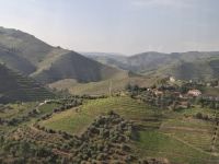 Auffahrt in die bergige Weinregion