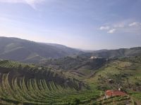 Blick von der Quinta da Avessada in die Weinberge