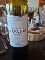 Weinbegleitung zum Abendessen