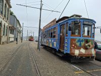 die Linie 1 &ndash; &copy; Ute Solf (Eberhardt TRAVEL)