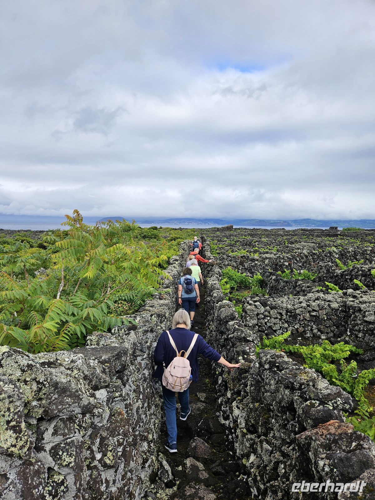 Wanderung im UNESCO Weinanbaugebiet &ndash; &copy; Kathrin Becker (Eberhardt TRAVEL)