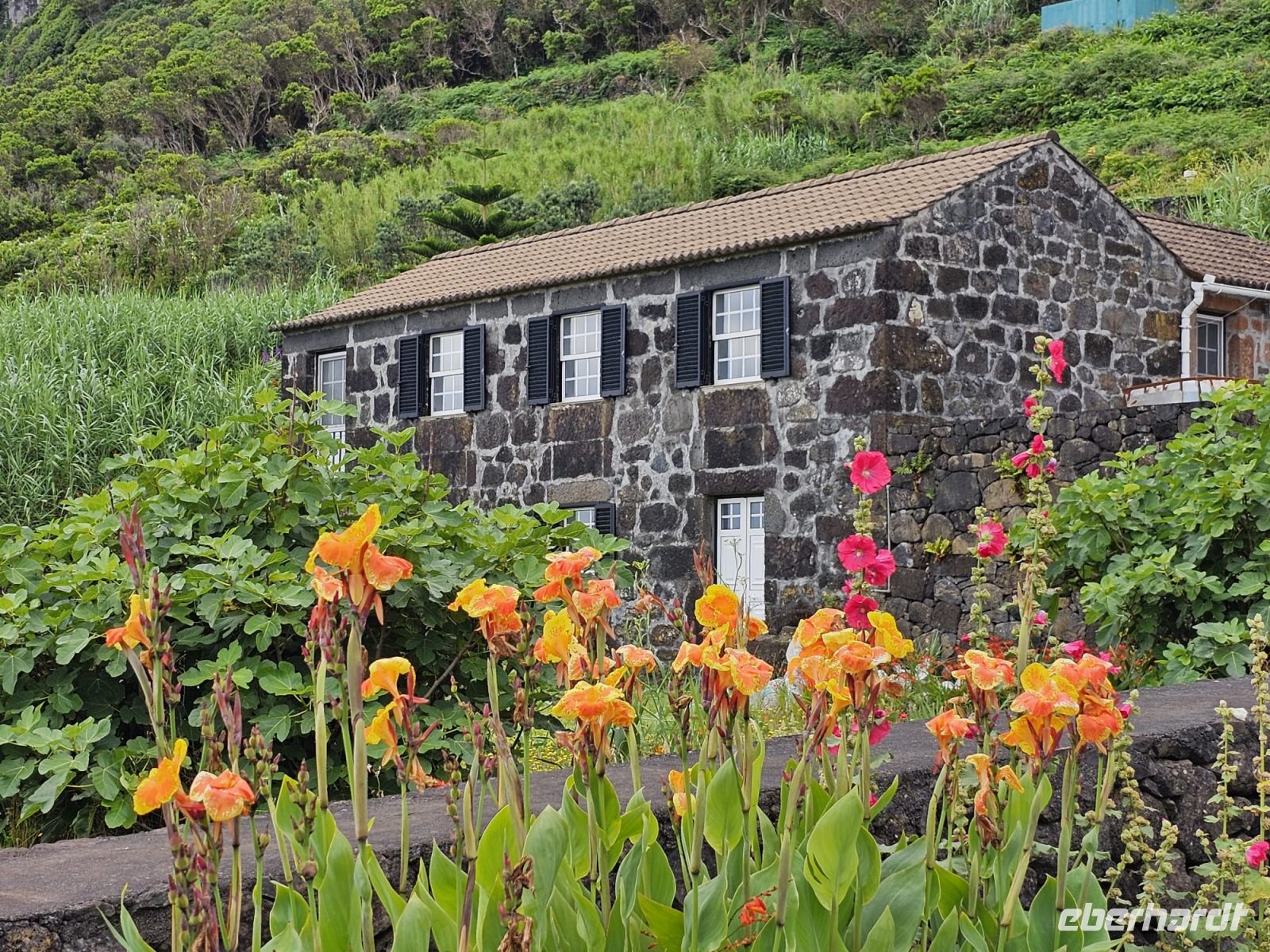 Fajã de Santo Cristo &ndash; &copy; Kathrin Becker (Eberhardt TRAVEL)