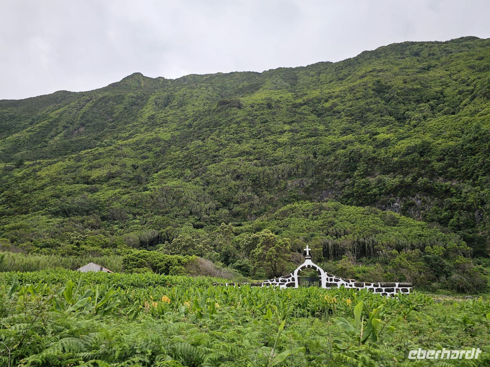 Fajã de Santo Cristo &ndash; &copy; Kathrin Becker (Eberhardt TRAVEL)