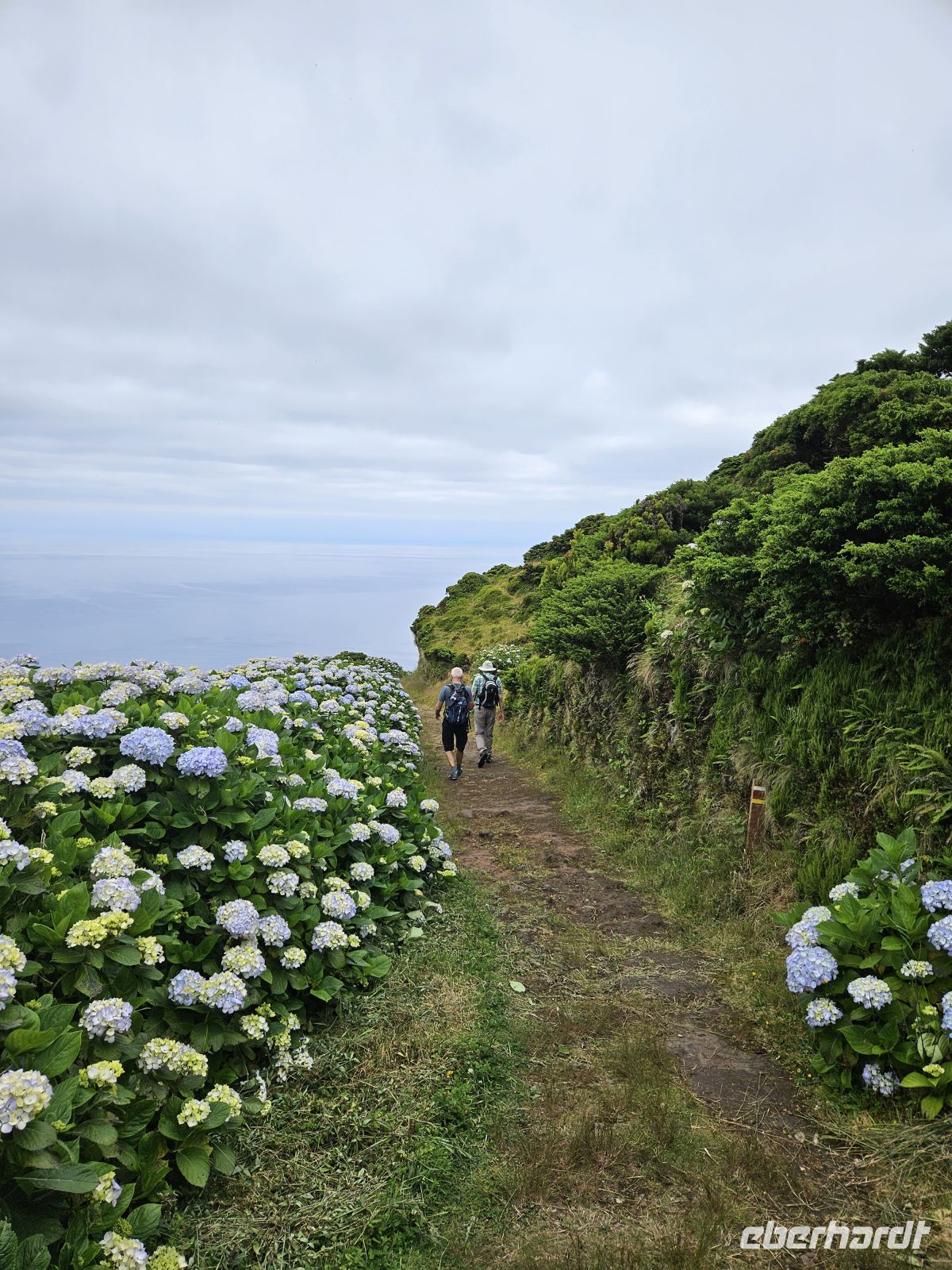 Wanderung von Serra do Topo nach Caldeira de Santo Cristo &ndash; &copy; Kathrin Becker (Eberhardt TRAVEL)