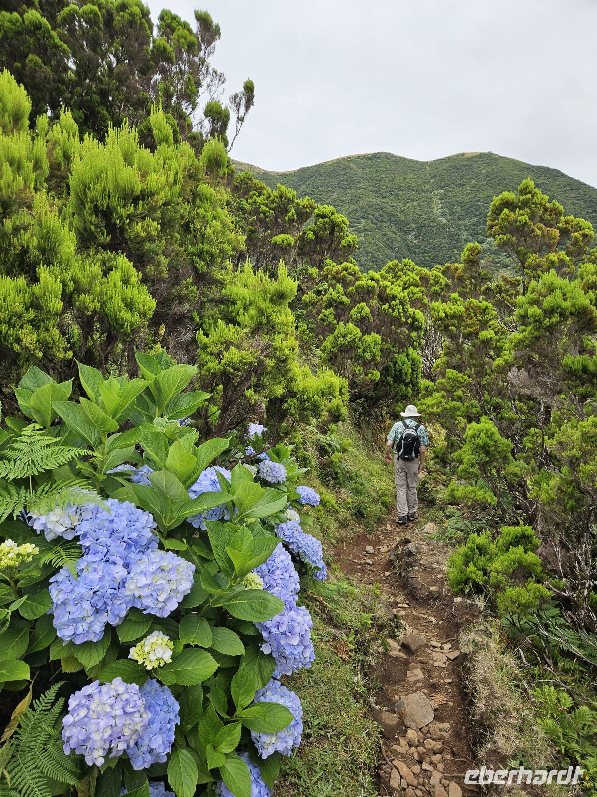 Wanderung von Serra do Topo nach Caldeira de Santo Cristo &ndash; &copy; Kathrin Becker (Eberhardt TRAVEL)