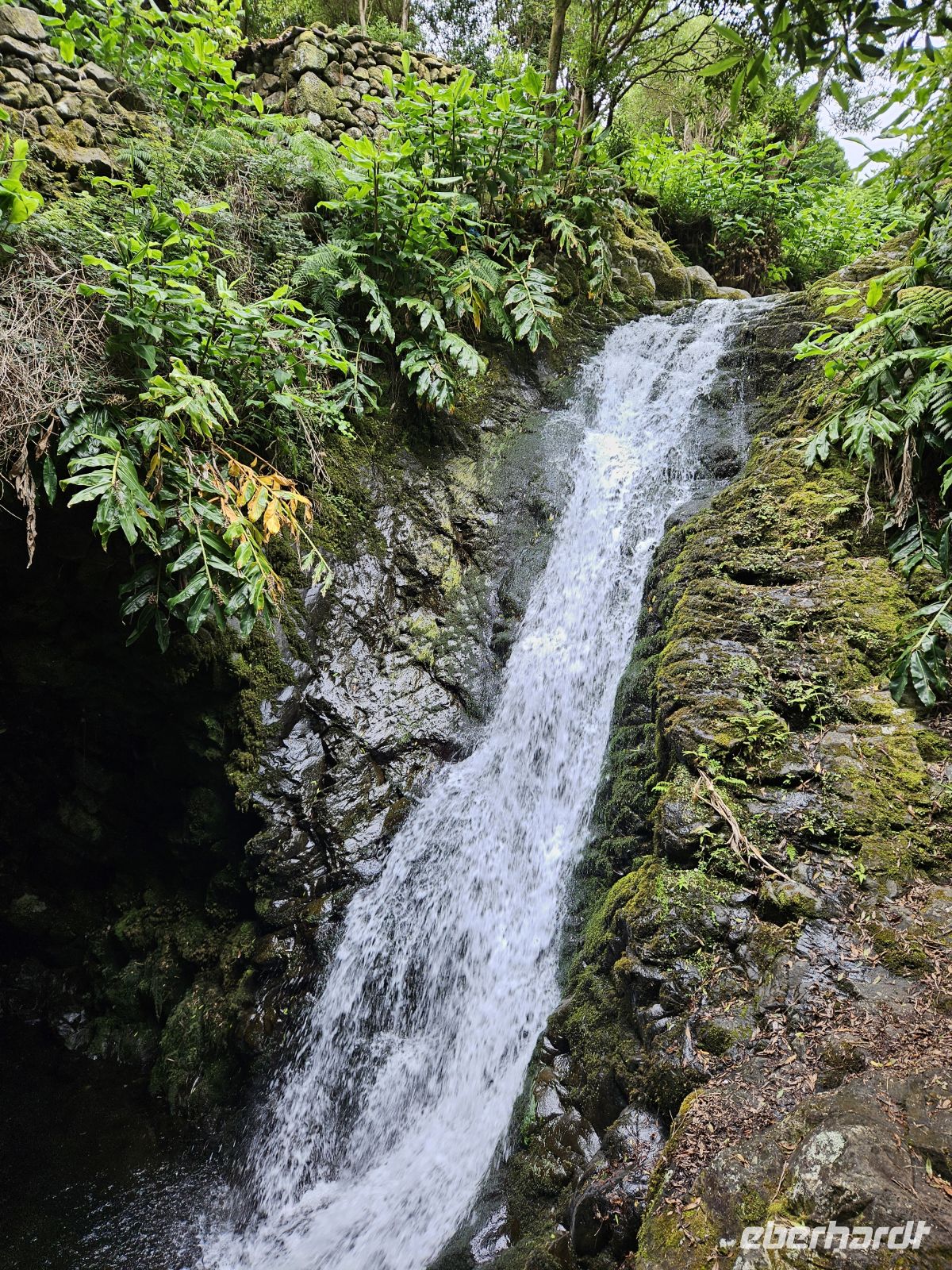 Wanderung von Serra do Topo nach Caldeira de Santo Cristo &ndash; &copy; Kathrin Becker (Eberhardt TRAVEL)