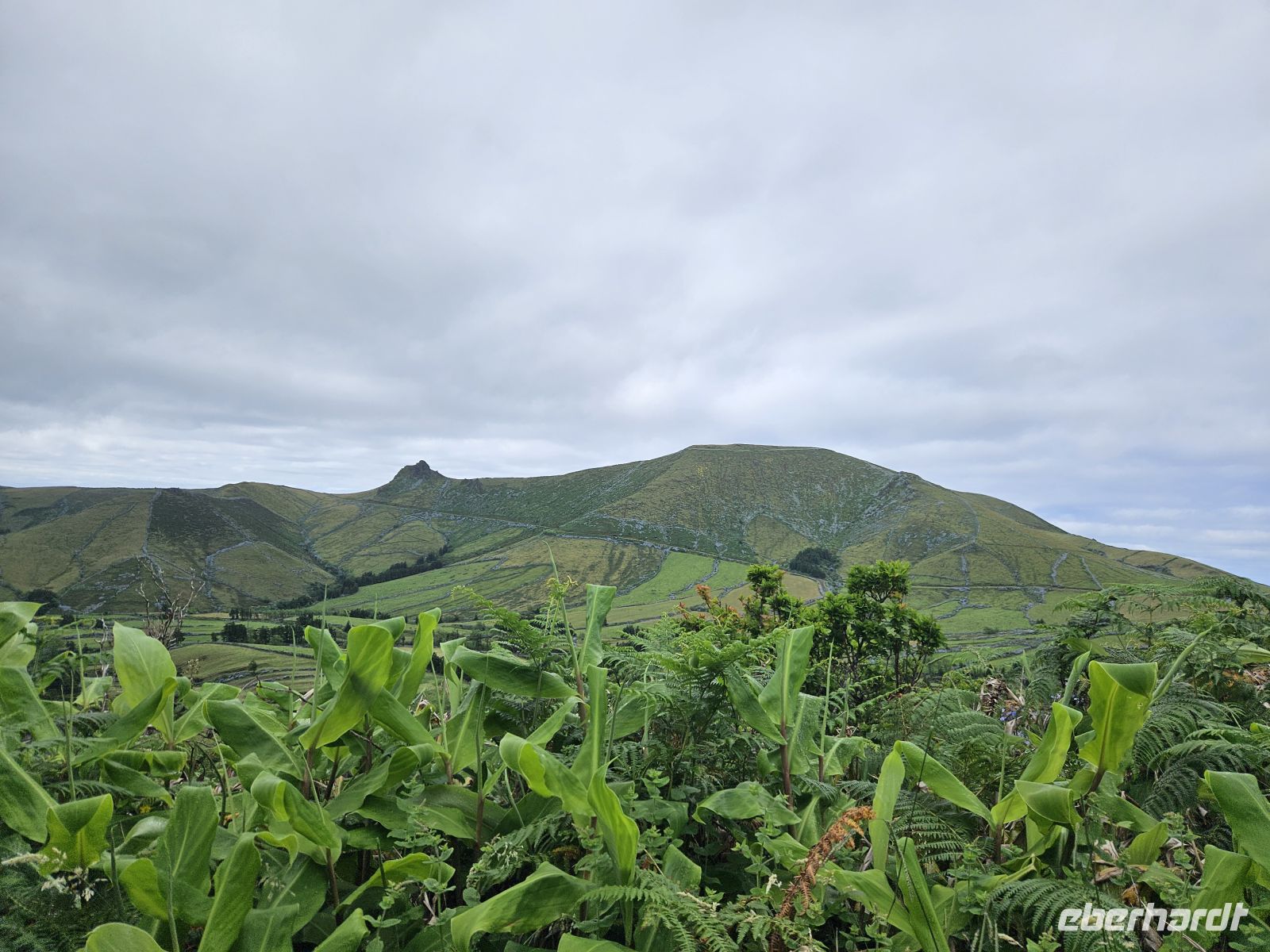 Rundfahrt Flores &ndash; &copy; Kathrin Becker (Eberhardt TRAVEL)