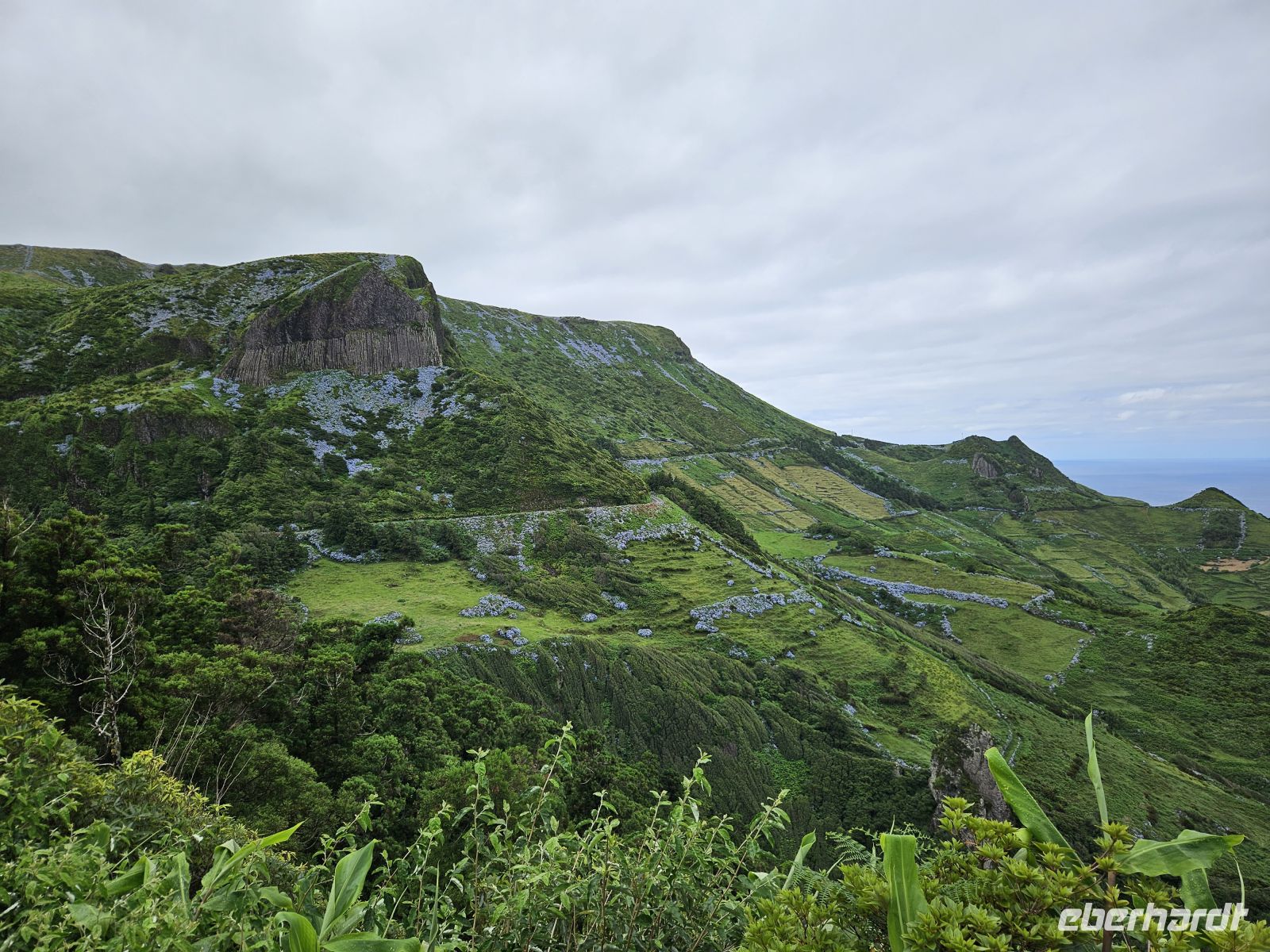 Flores Rocha dos Bordões &ndash; &copy; Kathrin Becker (Eberhardt TRAVEL)