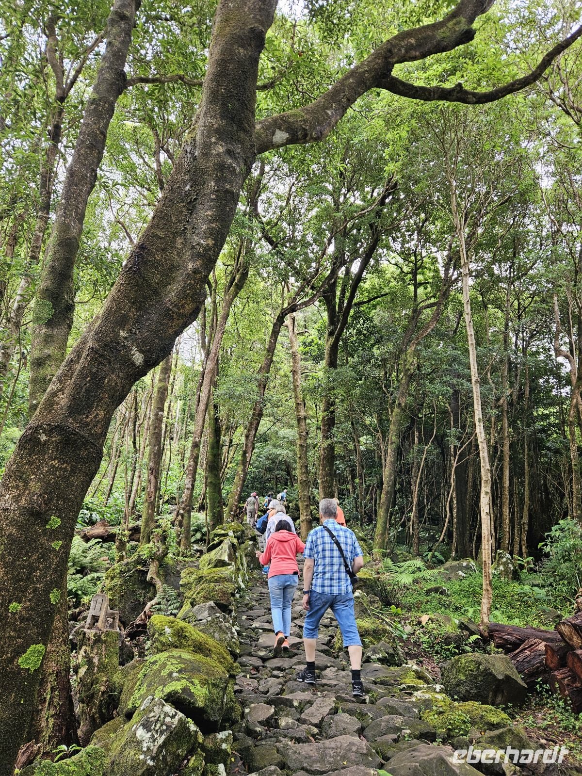 Wanderung zum Poço da Alagoinha &ndash; &copy; Kathrin Becker (Eberhardt TRAVEL)