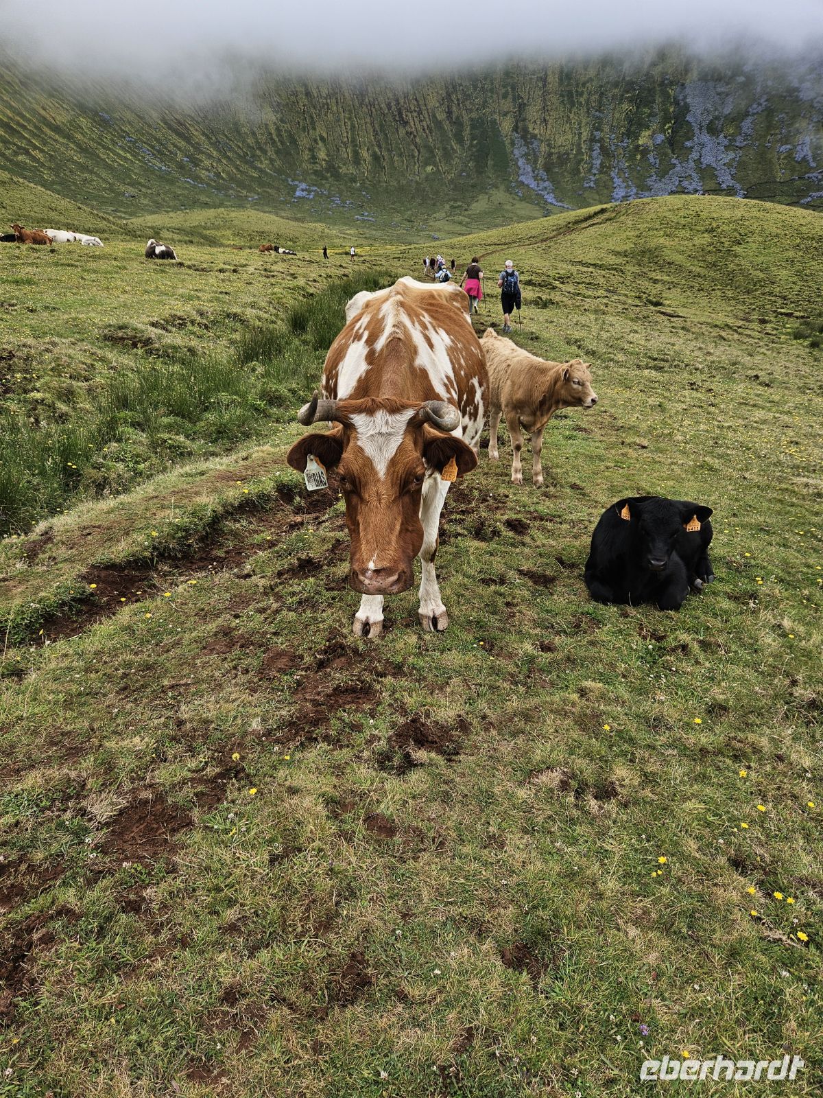 Kraterwanderung &ndash; &copy; Kathrin Becker (Eberhardt TRAVEL)