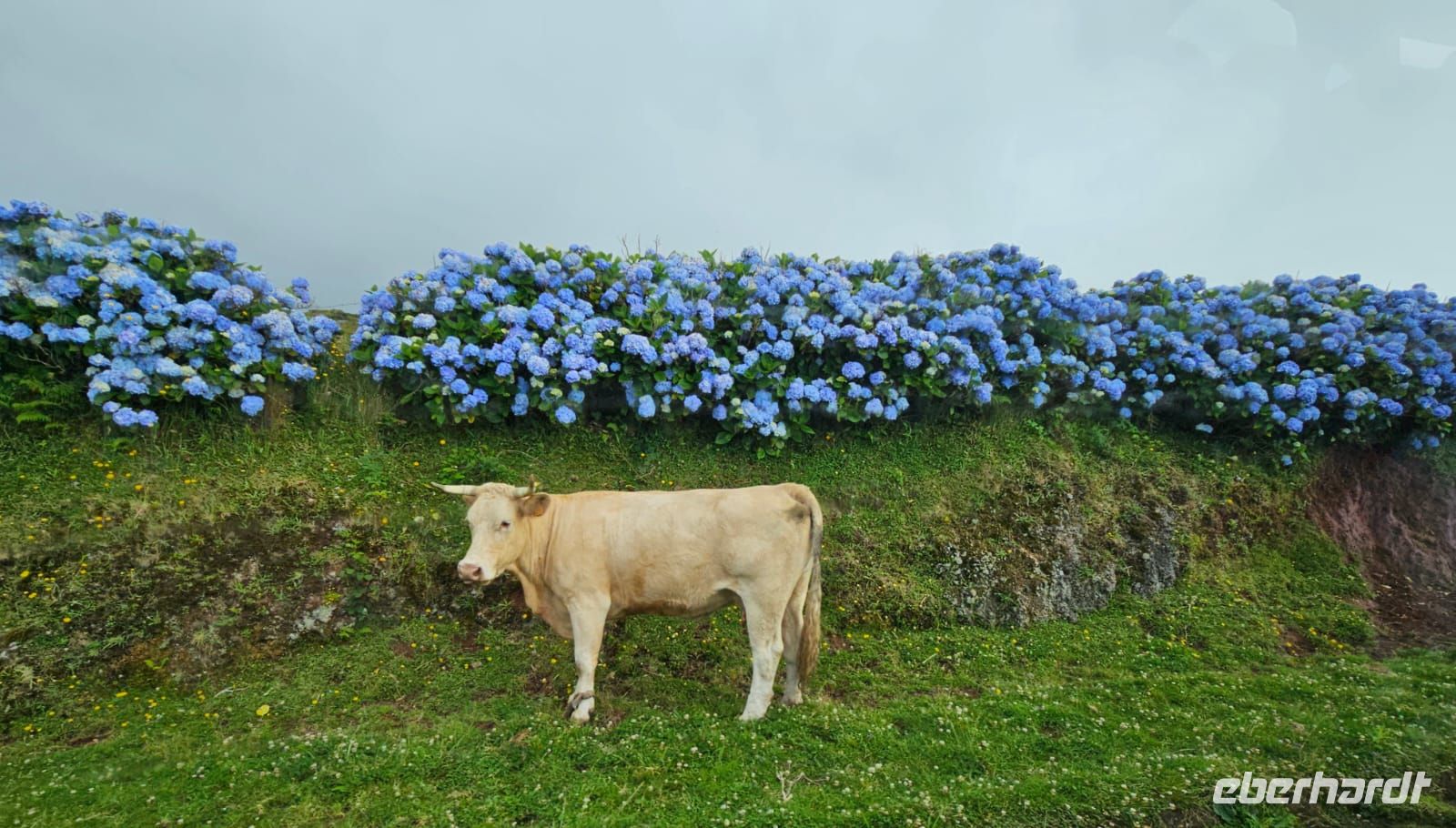 &copy; Kathrin Becker (Eberhardt TRAVEL)