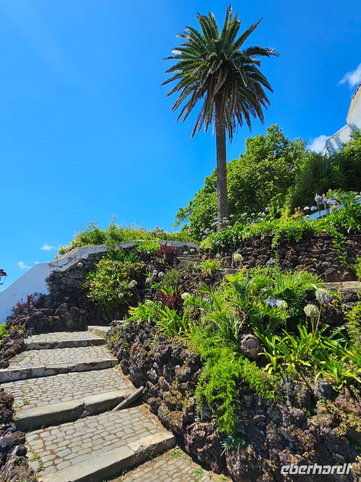 Botanischer Garten Angra do Heroismo &ndash; &copy; Kathrin Becker (Eberhardt TRAVEL)