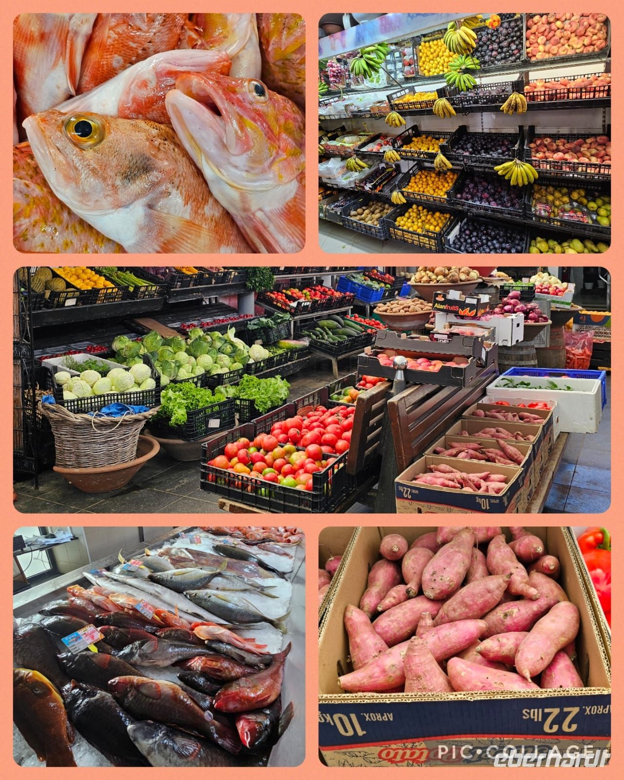Markt auf der Insel Terceira &ndash; &copy; Kathrin Becker (Eberhardt TRAVEL)