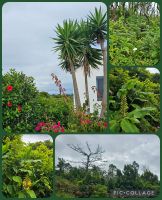 Wanderung auf der Insel Pico &ndash; &copy; Kathrin Becker (Eberhardt TRAVEL)