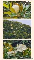 Blumenpracht im Garten der Quinta &ndash; &copy; Kathrin Becker (Eberhardt TRAVEL)
