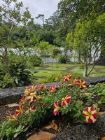 Quinta dos Mistérios_Garten &ndash; &copy; Kathrin Becker (Eberhardt TRAVEL)