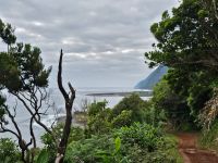 Wanderung von Faja dos Cubres nach Gaja da Caldeira de Santo Cristo &ndash; &copy; Kathrin Becker (Eberhardt TRAVEL)