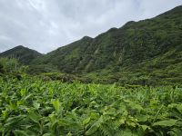 Caldeira de Santo Cristo &ndash; &copy; Kathrin Becker (Eberhardt TRAVEL)