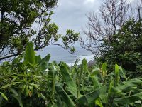 Ausblicke auf den Atlantik &ndash; &copy; Kathrin Becker (Eberhardt TRAVEL)