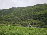 Fajã de Santo Cristo &ndash; &copy; Kathrin Becker (Eberhardt TRAVEL)