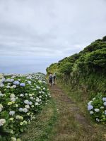 Wanderung von Serra do Topo nach Caldeira de Santo Cristo &ndash; &copy; Kathrin Becker (Eberhardt TRAVEL)