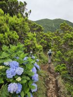 Wanderung von Serra do Topo nach Caldeira de Santo Cristo &ndash; &copy; Kathrin Becker (Eberhardt TRAVEL)