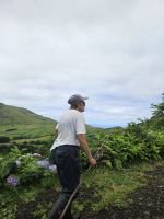 Rundfahrt Flores &ndash; &copy; Kathrin Becker (Eberhardt TRAVEL)