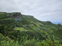 Flores Rocha dos Bordões &ndash; &copy; Kathrin Becker (Eberhardt TRAVEL)
